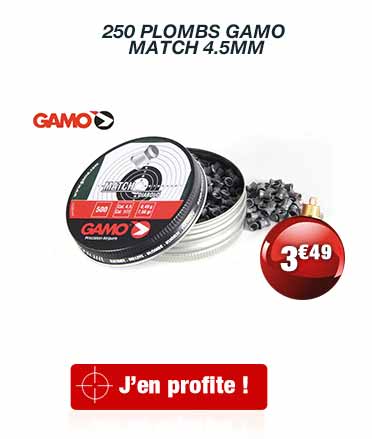  250 Plombs Gamo Match 4.5mm