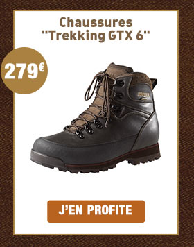 Chaussures Trekking GTX 6 