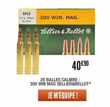 20 Balles Calibre : 300 Win Mag Sellier&Bellot®