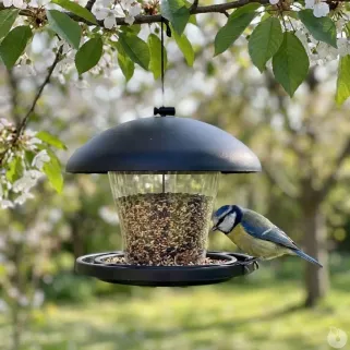 Mangeoire oiseaux transparente 19x17cm avec corde suspension