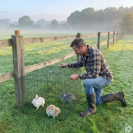Cage repliable à pâturer volaille ou lapin