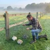 Cage repliable à pâturer volaille ou lapin