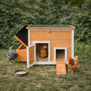 Poulailler Hefa+ en pin traité avec toit plastique - 6 poules