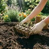 4 Plateaux biodégradables pour semis