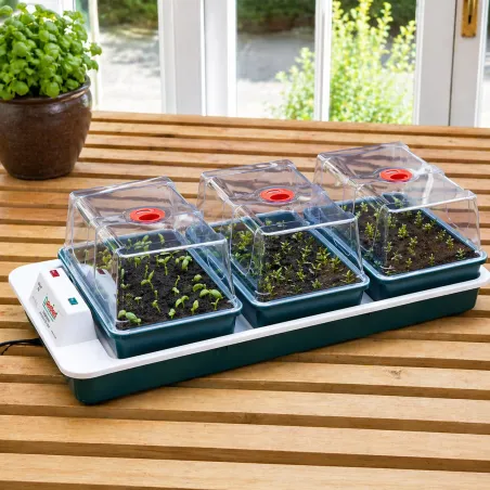 Serre chauffante BIG 3 automatique