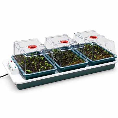 Serre chauffante BIG 3 automatique