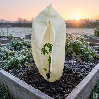 Couverture végétale non tissée 200x240cm protection plantes