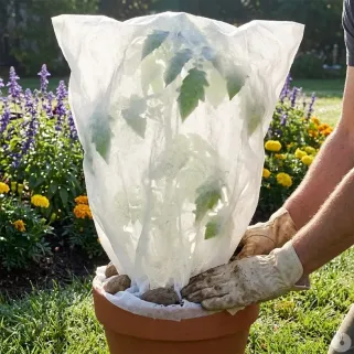 Couverture végétale non tissée 1x1,5m protection plantes