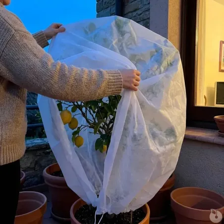 Couverture végétale non tissée 1x1,5m protection plantes