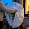 Couverture végétale non tissée 1x1,5m protection plantes