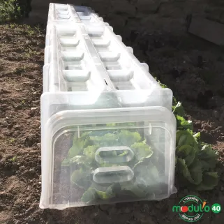 Lot de 2 fermetures pour tunnel de forçage / culture