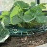 Supports pour fraisiers Lot de 5