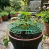 Supports pour fraisiers Lot de 5