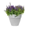 Pot plastique Elho diamètre 30 cm Hauteur 25 cm