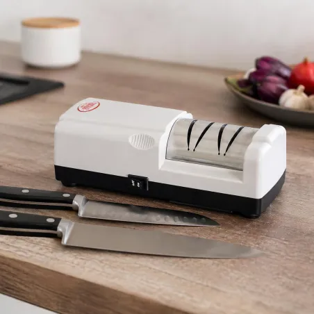 Aiguiseur de couteaux électrique pro 2 disques 50W 220V 22x9x7cm