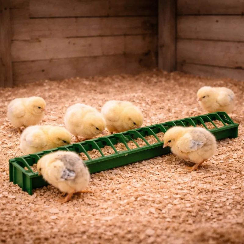 Mangeoire linéaire poussins et cailles en plastique à barrettes 50 cm