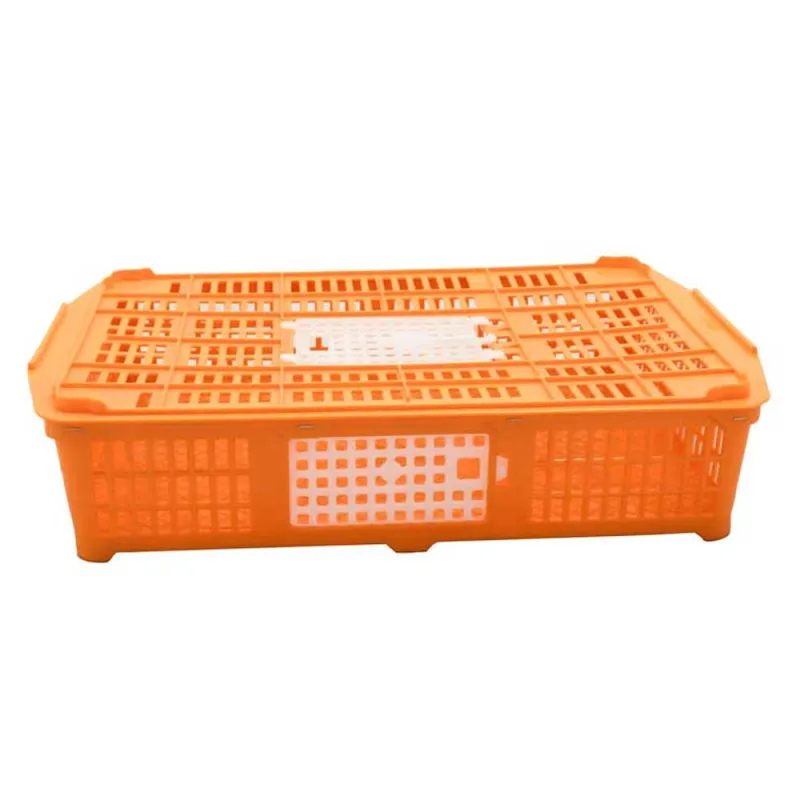 Panier de transport pour volailles 67 x 45 x 15 cm