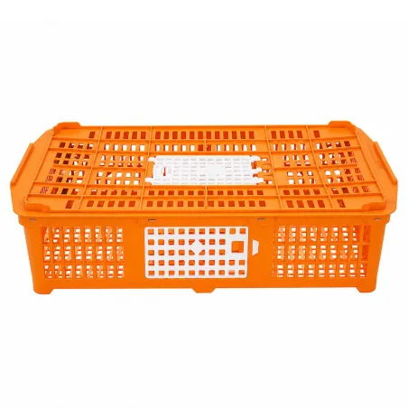 Panier de transport pour volailles 67 x 45 x 15 cm