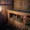 Abri petits animaux et rongeurs FRED