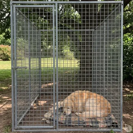 Panneau chenil maille carrée 5x5cm hauteur 184cm