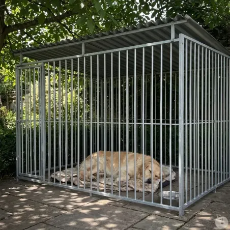 Panneaux de chenil à barreaux acier inoxydable 1,5 m ou 2m Hauteur 184 cm