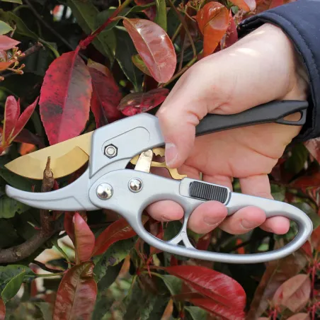 Sécateur titanium à crémaillère