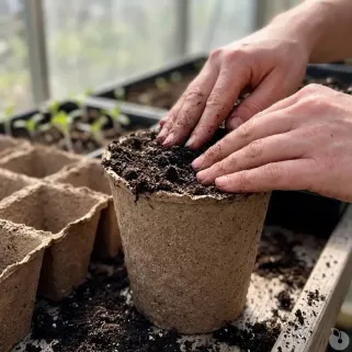 10 pots biodégradables pour semis Progarden