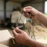 Filet de volière maille 60 mm – 50x25m