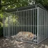Panneaux de chenil à barreaux acier inoxydable 1,5 m ou 2m Hauteur 184 cm
