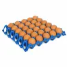Plateau oeufs plastique empilable 30X30 CM alimentaire lot de 10 conditionnement oeufs