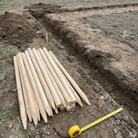 Lot de 20 Piquets en Châtaignier - Ø6cm x 2m pour Clôture