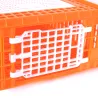 Cage transport démontable volatiles et rongeurs 77x58x29cm