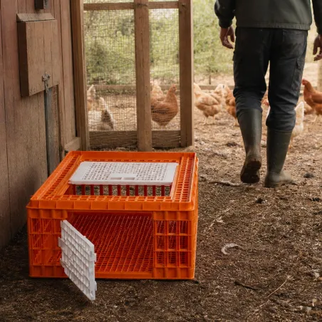 Cage transport démontable volatiles et rongeurs 77x58x29cm