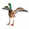 Décoration canard en métal 41×35×40 cm