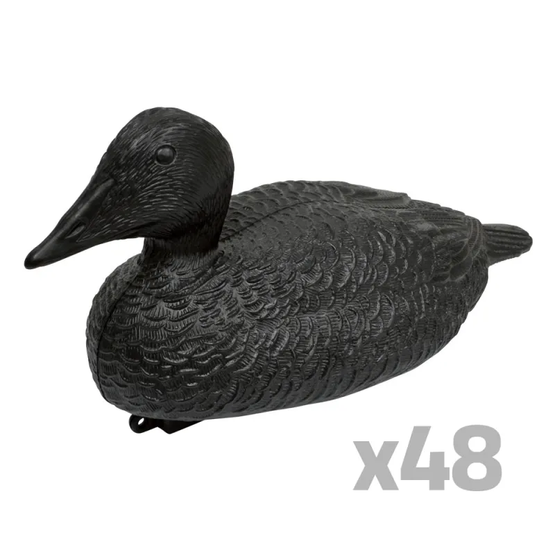 Lot de 48 Eiders réalistes traitement anti reflet noir
