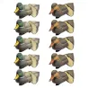 Pack 5 colverts mâles et 5 femelles moussés
