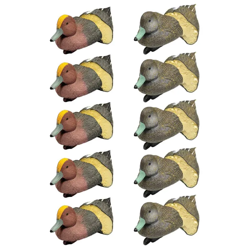 Pack 5 siffleurs mâles et 5 femelles moussés