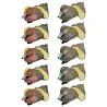 Pack 5 siffleurs mâles et 5 femelles moussés