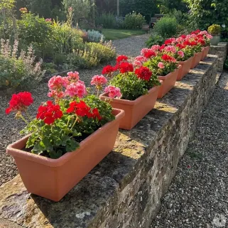 Lot de 8 Balconnières Elho® 50x16cm en plastique effet terre cuite