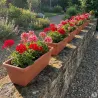 Lot de 8 Balconnières Elho® 50x16cm en plastique effet terre cuite