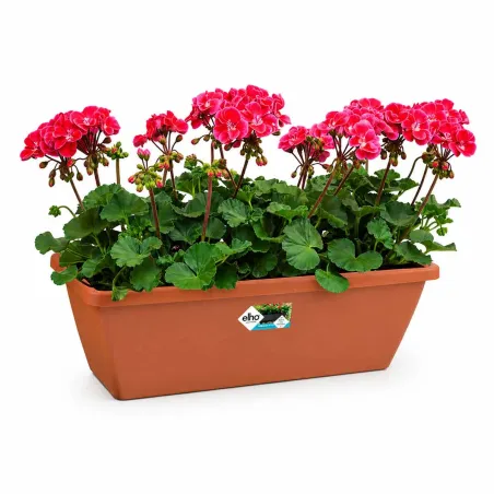 Lot de 4 Balconnières Elho® 50x16cm en plastique effet terre cuite