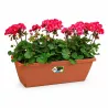 Lot de 4 Balconnières Elho® 50x16cm en plastique effet terre cuite