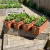 Lot de 4 Balconnières Elho® 50x16cm en plastique effet terre cuite