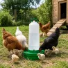 Abreuvoir base profonde pour volailles 12 litres
