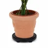 Support de plantes à roulettes 30 cm