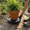 Support de plantes à roulettes 30 cm