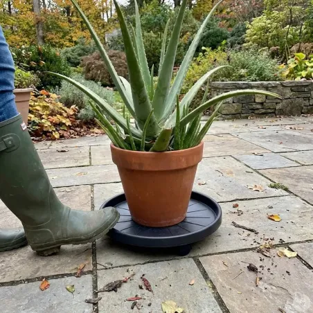 Support de plantes à roulettes 30 cm