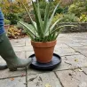 Support de plantes à roulettes 30 cm