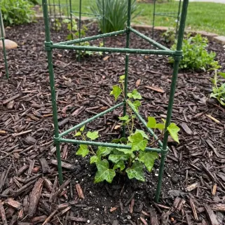 Treillis triangle vert 110 cm