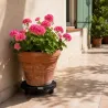 Support plante 360° ajustable